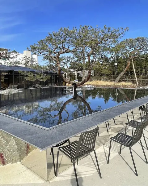 Parkın güzel manzarası