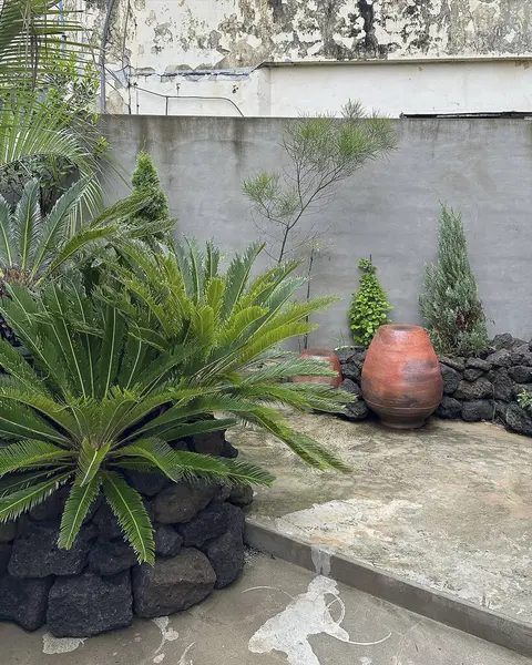 Parkın güzel manzarası