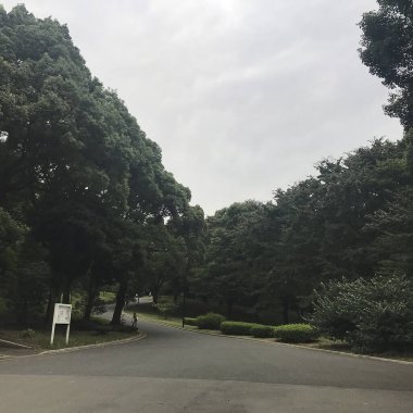 Parkın güzel manzarası