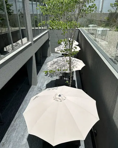 Parktaki güzel çiçekler.