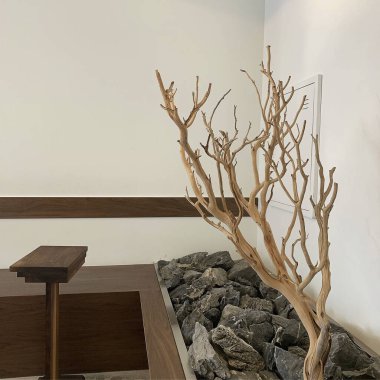 Modern bir odanın içinde.