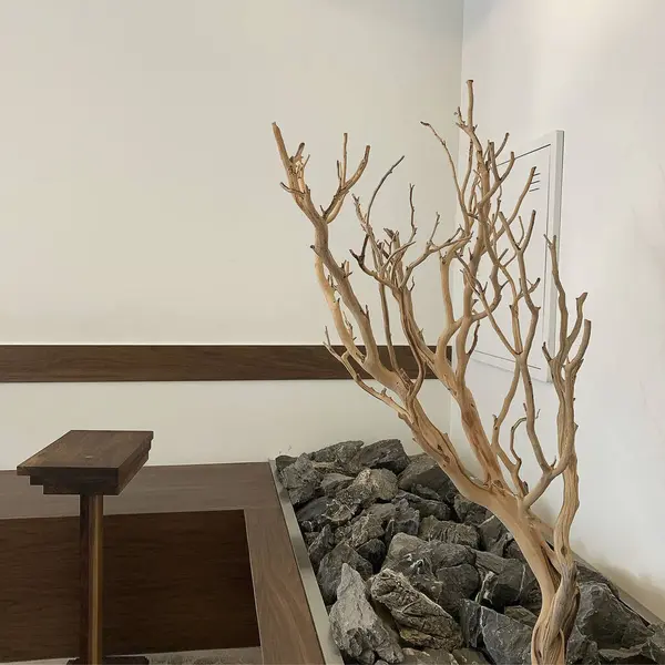 Modern bir odanın içinde.