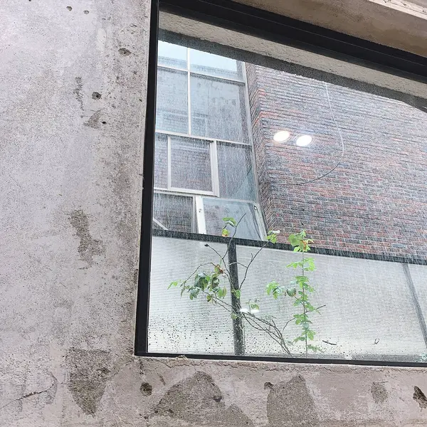 Duvarında bir bardak su olan bir pencere.