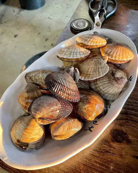 bir tabak taze istiridye