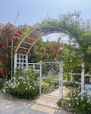 Bahçedeki güzel çiçekler