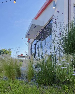 Şehrin modern mimarisi