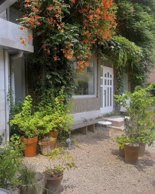 Bahçedeki güzel çiçekler