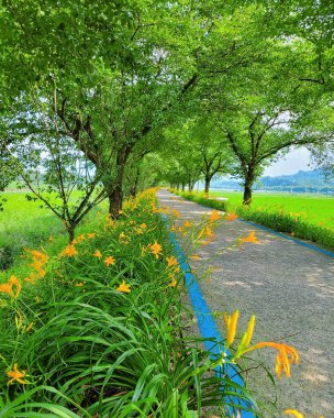 Parktaki yeşil ağaçlar.