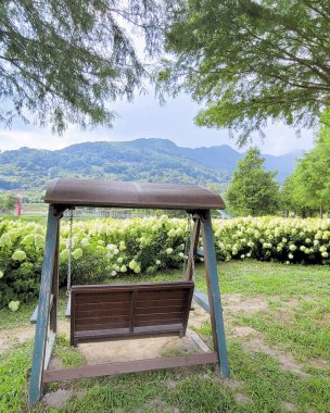 Tahta bir bankı olan güzel bir manzara.