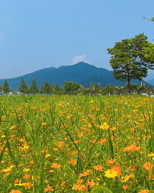 Dağlardaki dağ manzarası