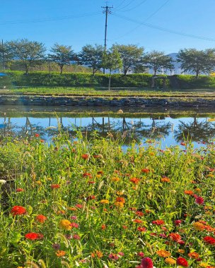 Parktaki gölün güzel manzarası