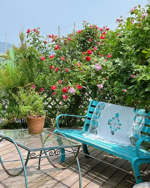 Bahçedeki güzel çiçekler