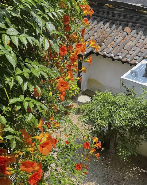 İsrail 'in kuzeyindeki Akdeniz' in eski kasabasının manzarası.