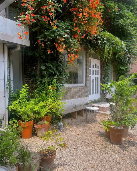 Bahçedeki güzel çiçekler