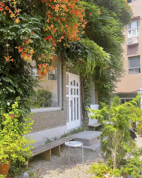 Bahçedeki güzel çiçekler