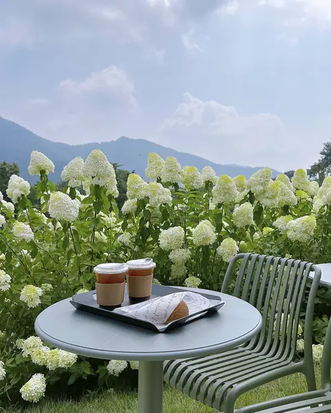 Kahve fincanı, çiçek ve çay demliği olan masa.