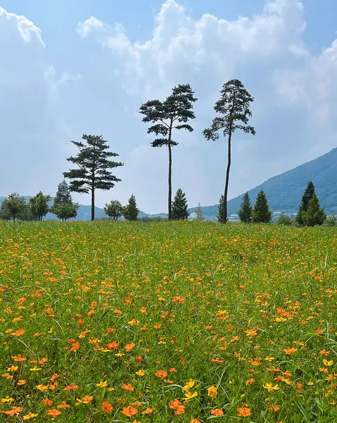 Bulutlu gökyüzünün altında kozmos alanının manzarası
