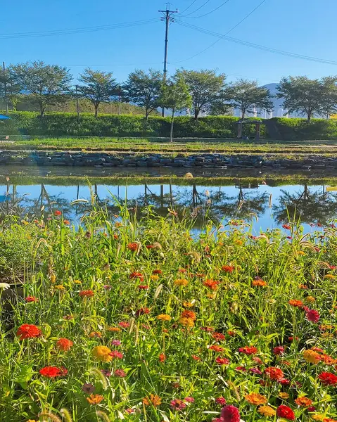 Parktaki gölün güzel manzarası