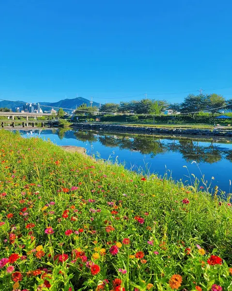 Parkın güzel manzarası