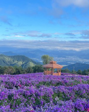Yazın dağların manzarası