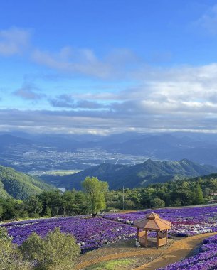 Bir dağ ve tarlası olan güzel bir manzara.