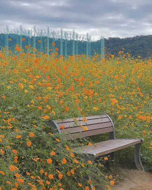 Parkın güzel manzarası
