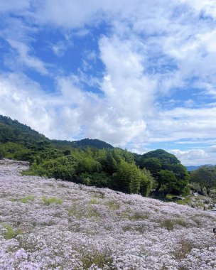Dağlı güzel bir manzara.