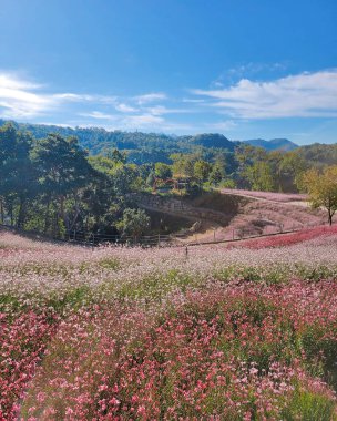 Dağlardaki dağların güzel manzarası