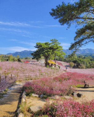 Arkasında bir dağ olan güzel bir manzara.