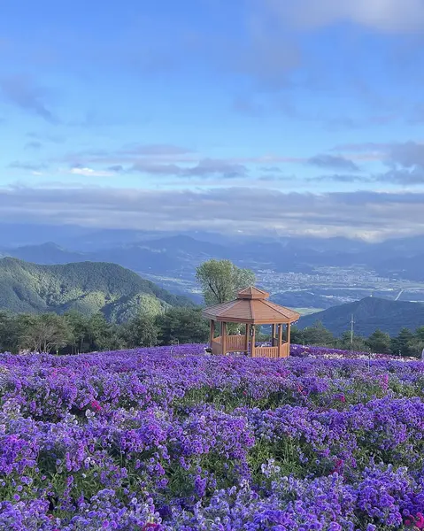 Yazın dağların manzarası