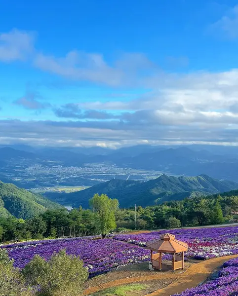 Bir dağ ve tarlası olan güzel bir manzara.