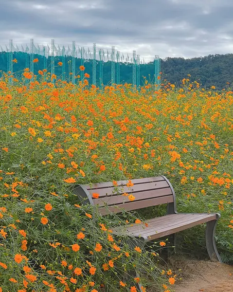 Parkın güzel manzarası