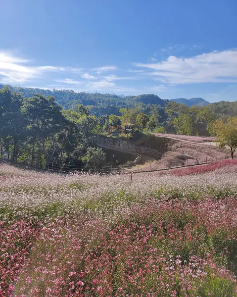 Dağlardaki dağların güzel manzarası