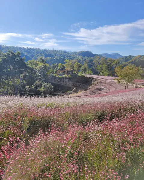 Nehir ve gölü olan güzel bir manzara.