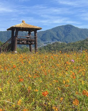 Dağlarda dağları olan güzel bir manzara.