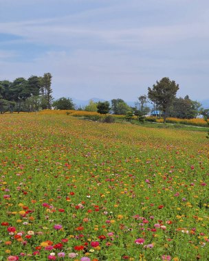 Deniz kıyısının güzel manzarası