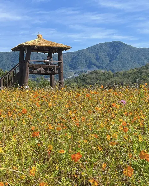 Dağlarda dağları olan güzel bir manzara.