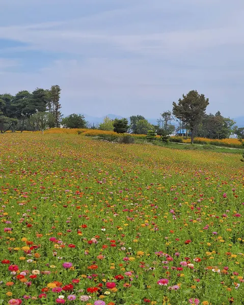 Deniz kıyısının güzel manzarası