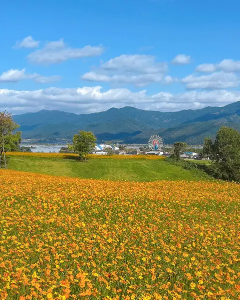 Dağların güzel manzarası
