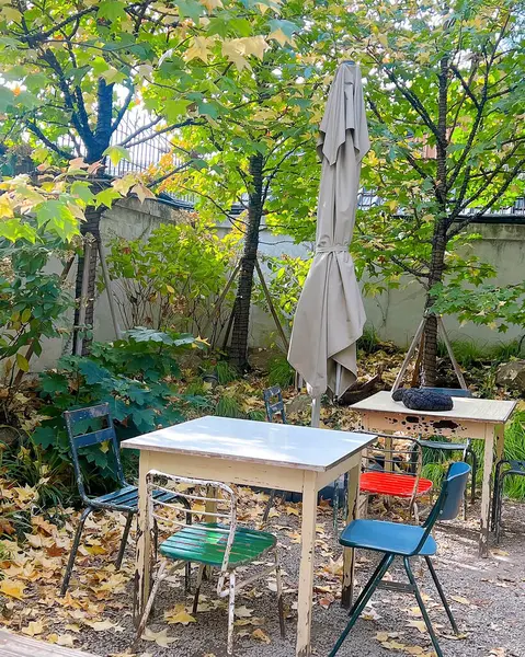 Şehirdeki sonbahar parkı