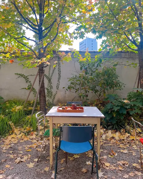 Kürsü ve sandalyeli sonbahar parkı