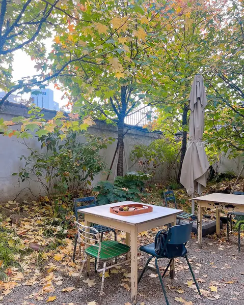 Parkın güzel manzarası