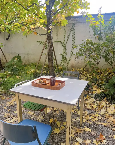 bir masa ve bir sandalye ve bahçede bir bardak şarap.