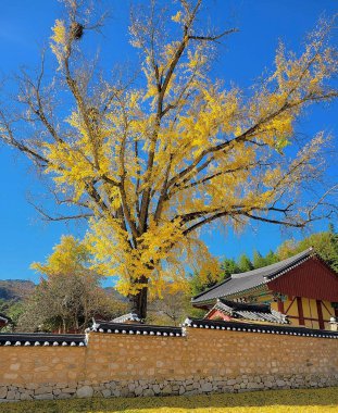 Ağacı ve dağı olan güzel bir manzara.
