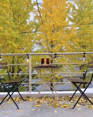 Sonbahar yaprakları, sonbahar bitkileri