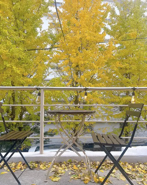 Sonbahar manzarası, sonbahar sarı yaprakları parkın arka planında, sarı yapraklar, sarı sonbahar ağaçları ve sonbahar yaprakları.