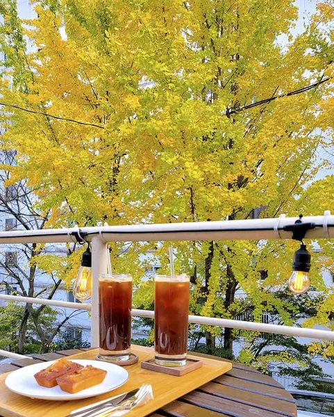 Güzel sonbahar yaprakları, bitki örtüsü