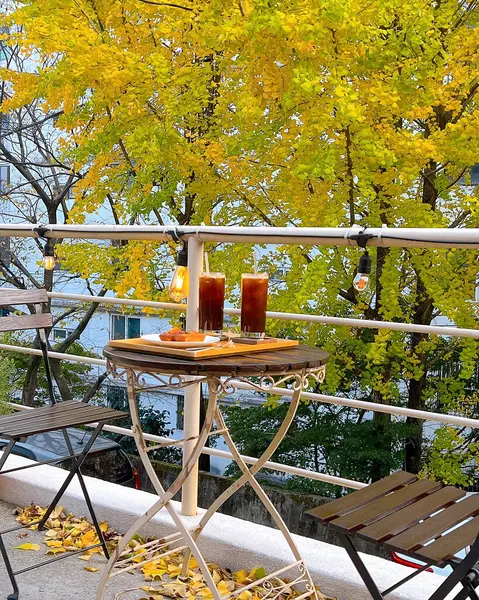 Güzel sonbahar yaprakları, sonbahar mevsimi