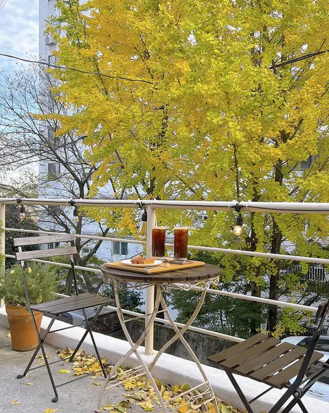 Parktaki bankta sonbahar yaprakları