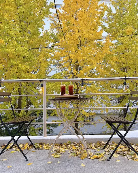 Sonbahar yaprakları, sonbahar bitkileri